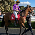 Corriamo racehorse